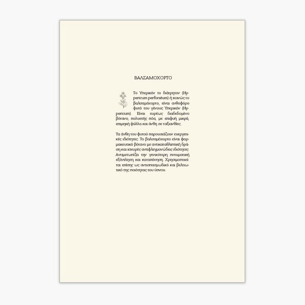 Ημερήσιο Ημερολόγιο 2026 Botanical (Διάφορα Χρώματα)